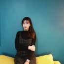 슬로우버드 이미지