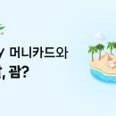 페이로