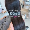 장안 미용실 | 장한평역미용실 추천 | 도아살롱장안점 손상모 플로디아 클리닉 후기