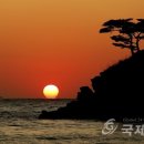 태안반도