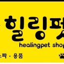 힐링펫샵 이미지