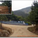 계룡산등산로(거제면) 이미지