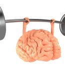 머슬마인드짐 이미지