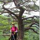 강원도 철원군 근남면 복계산 (1,057m) 이미지