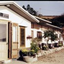 섬in섬 연홍미술관 이미지