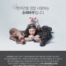 바우슈퍼