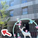 제이앤코 | 사상 왁싱 브라질리언 잘하는 곳 윤채뷰티 대만족