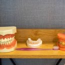 코코치과의원 이미지