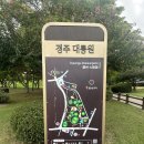 대릉원 화장실 이미지