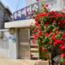 궁전여관 이미지