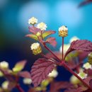 스위트허브 이미지