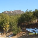500090 Daum카페