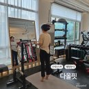 다올핏 이미지