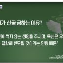 산분장散紛葬)에 대한 가톨릭 교회의 입장 이미지