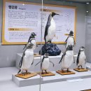 우장춘로 | 부산 온천장 실내데이트 부산해양자연사박물관 무료 관람