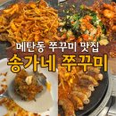 송가네 | 메탄동 쭈꾸미 맛집 송가네 쭈꾸미 솔직후기, 볶음밥까지 완벽