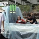 먹방트럭