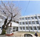 제주북초등학교 이미지