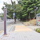 와룡시장 이미지