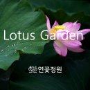 정원유기농영농조합법인 이미지