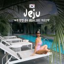 제주도 풀빌라 추천 '두모산책' 아기와 함께한 온수풀 숙소 후기