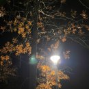 봉곡로-9 이미지