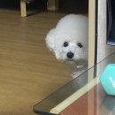 몽글몽글# 이미지