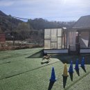 가평댕댕이애견펜션그린 이미지