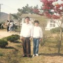 포두중학교 이미지