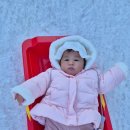 소노펠리체비발디파크 이미지