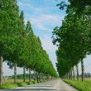 수교주유소 이미지