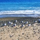 대왕릉민박 이미지