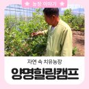 양명자연농장 네이버블로그
