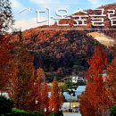 보글스마켓 이미지