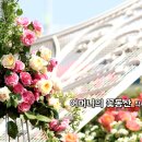 여름특집_발라드_어머니의 꽃동산_작사 박완실_가수 줄리아_작 편곡_수노_기획 프로듀서 윤기영 이미지
