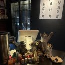 브라더야끼 | [중랑] 양갈비 한우 오마카세 먹골역 맛집 ‘브라더야끼’
