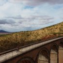 (주)조이셀 이미지