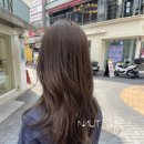 나인헤어 이미지