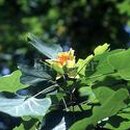 나무호텔 이미지