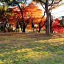 우제류를위하여 이미지