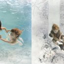 발렌스 스포츠센터 이미지