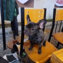 웅쓰포차 이미지