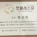 캣블레스유 이미지