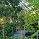 소통힐링감동의시낭송&스피치 | 부산 서면 보이스 트레이닝 올바른 발성법을 배워보아요