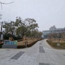 백양대로 이미지