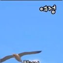 갈매기의꿈 - 동구 화잠로 129 | 갈매기의꿈