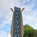 곡성 대황강 출렁다리 이미지