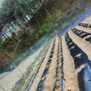 한국종묘농약사 이미지