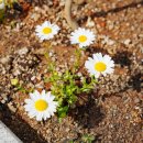 CLUB E·S 통영리조트 이미지