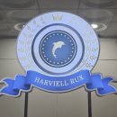 하비엘럭스 | 🏊‍♂️ 우리 아이 수영장, 하비엘럭스 수영장 후기 🌊